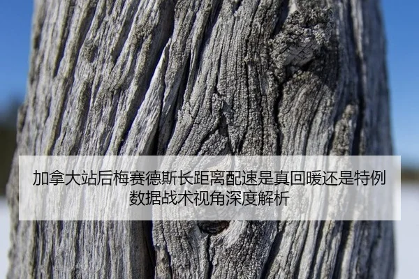 jia-na-da-zhan-hou-mei-sai-de-si-zhang-ju-li-pei-su-shi-zhen-hui-nuan-hai-shi-te-li-shu-ju-zhan-shu-shi-jiao-shen-du-2-178.jpg