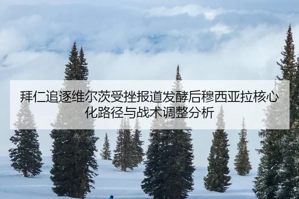 bai-ren-zhui-zhu-wei-er-ci-shou-cuo-bao-dao-fa-jiao-hou-mu-xi-ya-la-he-xin-hua-lu-jing-yu-zhan-shu-tiao-zheng-fen-xi-2-175.jpg